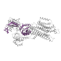 The deposited structure of PDB entry 6lly contains 1 copy of Pfam domain PF00702 (haloacid dehalogenase-like hydrolase) in Sarcoplasmic/endoplasmic reticulum calcium ATPase 2. Showing 1 copy in chain A.