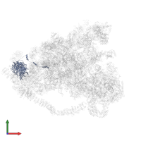 NET1-associated nuclear protein 1 in PDB entry 6lqr, assembly 1, front view.