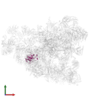 Ribosomal RNA small subunit methyltransferase NEP1 in PDB entry 6lqt, assembly 1, front view.