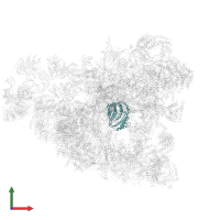 RNA 3'-terminal phosphate cyclase-like protein in PDB entry 6lqt, assembly 1, front view.