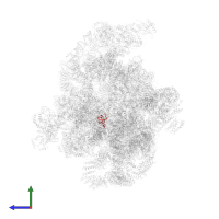 Small ribosomal subunit protein uS12A in PDB entry 6lqu, assembly 1, side view.