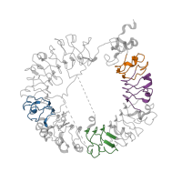 The deposited structure of PDB entry 6lw1 contains 8 copies of Pfam domain PF13855 (Leucine rich repeat) in TIR domain-containing protein. Showing 4 copies in chain A.
