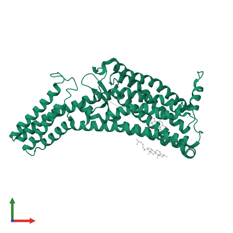 PDB 6lw5 gallery ‹ Protein Data Bank in Europe (PDBe) ‹ EMBL-EBI