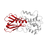 The deposited structure of PDB entry 6lwp contains 3 copies of Pfam domain PF01149 (Formamidopyrimidine-DNA glycosylase N-terminal domain) in Endonuclease 8-like 1. Showing 1 copy in chain A.