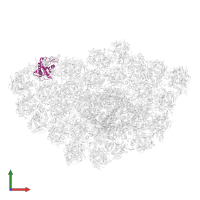 Fucoxanthin chlorophyll a/c protein 14 in PDB entry 6ly5, assembly 1, front view.