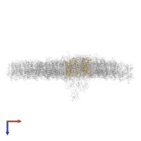 Protein fucoxanthin chlorophyll a/c protein in PDB entry 6ly5, assembly 1, top view.