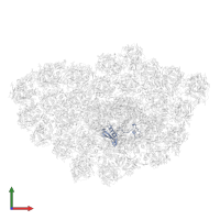 Photosystem I reaction center subunit II, chloroplastic in PDB entry 6ly5, assembly 1, front view.