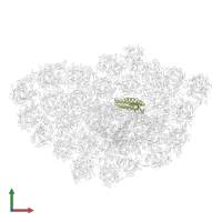 Photosystem I reaction center subunit III, chloroplastic in PDB entry 6ly5, assembly 1, front view.