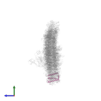 FCPI-2 in PDB entry 6ly5, assembly 1, side view.