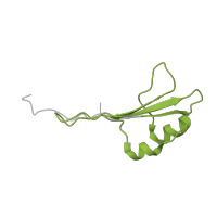 The deposited structure of PDB entry 6lyu contains 1 copy of Pfam domain PF04355 (SmpA / OmlA family) in Outer membrane protein assembly factor BamE. Showing 1 copy in chain E.