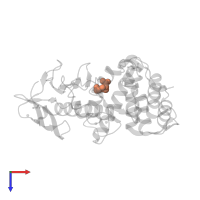 LYSINE in PDB entry 6lzn, assembly 1, top view.