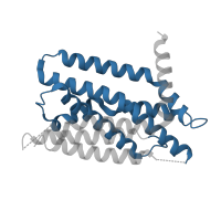 The deposited structure of PDB entry 6m49 contains 1 copy of Pfam domain PF12349 (Sterol-sensing domain of SREBP cleavage-activation) in Sterol regulatory element-binding protein cleavage-activating protein. Showing 1 copy in chain B.