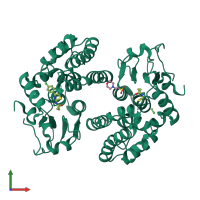 Homo dimeric assembly 2 of PDB entry 6mhb coloured by chemically distinct molecules, front view.