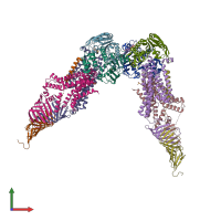 PDB entry 6mit coloured by chain, front view.