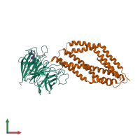 PDB entry 6mpv coloured by chain, front view.