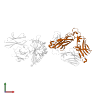 A11B8.2 NKT TCR beta-chain in PDB entry 6mss, assembly 1, front view.
