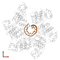 DNA (5'-D(P*TP*TP*TP*TP*TP*TP*TP*TP*TP*TP*TP*TP*TP*TP*T)-3') in PDB entry 6n7n, assembly 1, front view.