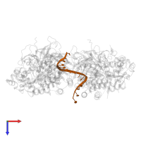 DNA (5'-D(P*TP*TP*TP*TP*TP*TP*TP*TP*TP*TP*TP*TP*TP*TP*T)-3') in PDB entry 6n7n, assembly 1, top view.