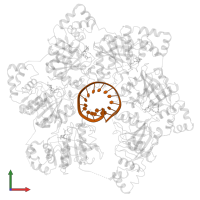 DNA (25-MER) in PDB entry 6n7t, assembly 1, front view.