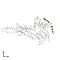 Guanine nucleotide-binding protein G(I)/G(S)/G(O) subunit gamma-2 in PDB entry 6nbi, assembly 1, front view.