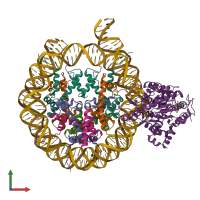 Hetero undecameric assembly 1 of PDB entry 6ne3 coloured by chemically distinct molecules, front view.