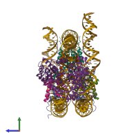 Hetero undecameric assembly 1 of PDB entry 6ne3 coloured by chemically distinct molecules, side view.