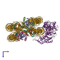 Hetero undecameric assembly 1 of PDB entry 6ne3 coloured by chemically distinct molecules, top view.