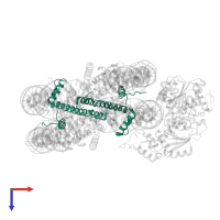 Histone H3.2 in PDB entry 6ne3, assembly 1, top view.