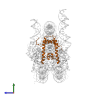 Histone H4 in PDB entry 6ne3, assembly 1, side view.