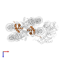 Histone H4 in PDB entry 6ne3, assembly 1, top view.