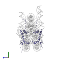 Histone H2A type 1 in PDB entry 6ne3, assembly 1, side view.