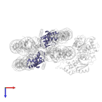Histone H2A type 1 in PDB entry 6ne3, assembly 1, top view.