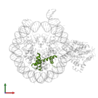 Histone H2B 1.1 in PDB entry 6ne3, assembly 1, front view.