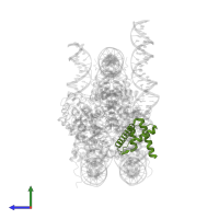 Histone H2B 1.1 in PDB entry 6ne3, assembly 1, side view.