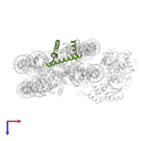 Histone H2B 1.1 in PDB entry 6ne3, assembly 1, top view.