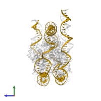 DNA (156-MER) in PDB entry 6ne3, assembly 1, side view.