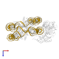 DNA (156-MER) in PDB entry 6ne3, assembly 1, top view.