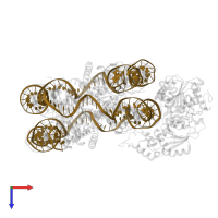 DNA (156-MER) in PDB entry 6ne3, assembly 1, top view.