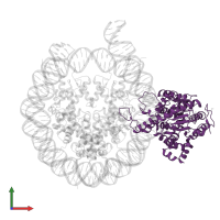 SWI/SNF-related matrix-associated actin-dependent regulator of chromatin subfamily A member 5 in PDB entry 6ne3, assembly 1, front view.