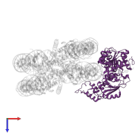 SWI/SNF-related matrix-associated actin-dependent regulator of chromatin subfamily A member 5 in PDB entry 6ne3, assembly 1, top view.