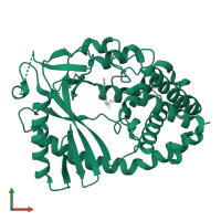 Cyclic GMP-AMP synthase in PDB entry 6nfg, assembly 1, front view.