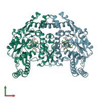 PDB entry 6ngk coloured by chain, front view.