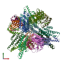 PDB entry 6nht coloured by chain, front view.