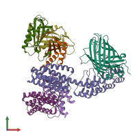 PDB entry 6nhv coloured by chain, front view.