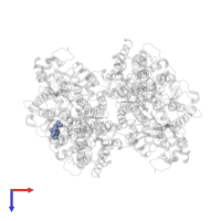 1,2-DIHEXANOYL-SN-GLYCERO-3-PHOSPHOETHANOLAMINE in PDB entry 6nin, assembly 3, top view.