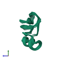 PDB entry 6nom coloured by chain, ensemble of 20 models, side view.