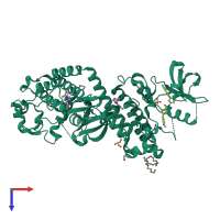 Homo dimeric assembly 1 of PDB entry 6npu coloured by chemically distinct molecules, top view.