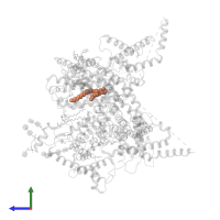 1,2-DIPALMITOYL-PHOSPHATIDYL-GLYCEROLE in PDB entry 6nt3, assembly 1, side view.