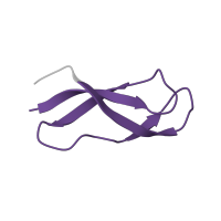 The deposited structure of PDB entry 6nu2 contains 1 copy of Pfam domain PF00471 (Ribosomal protein L33) in Large ribosomal subunit protein bL33m. Showing 1 copy in chain Z [auth 1].