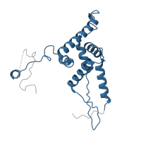 The deposited structure of PDB entry 6nu2 contains 1 copy of Pfam domain PF00177 (Ribosomal protein S7p/S5e) in Small ribosomal subunit protein uS7m. Showing 1 copy in chain IB [auth AF].